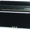 Samick JS 043