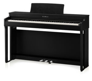 Kawai CN-201