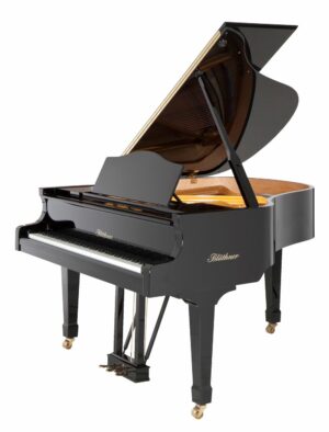 Blüthner Model 10
