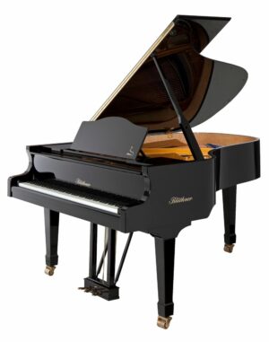 Blüthner Model 6