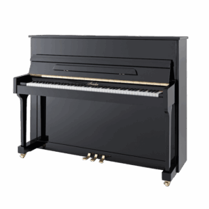 Irmler P118