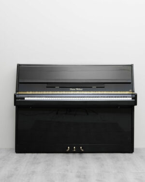 Hans Weber 110