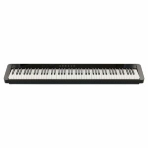 Claviers Portables LM
