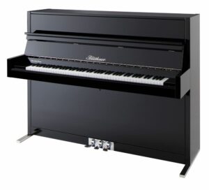 Blüthner Model D