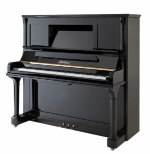 Blüthner Model S