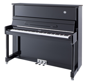 Irmler P125