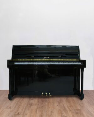 Ritmuller UP 110 R2 Expo