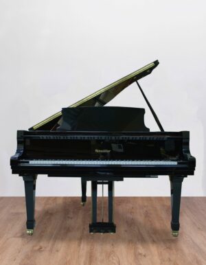 Ritmuller 160 RS EXPO